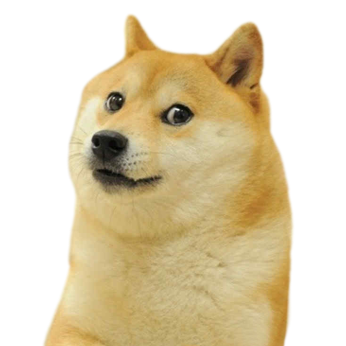 DOGE3.png