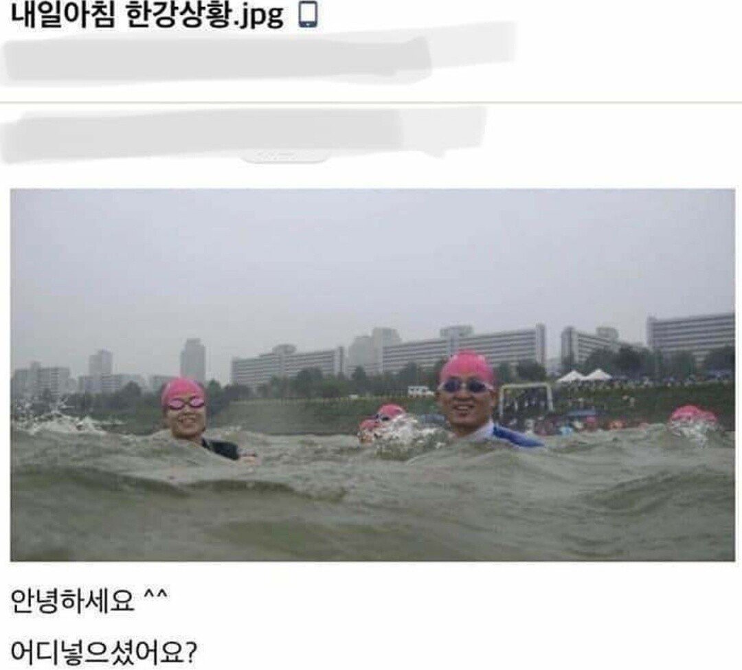 비트코인 이더리움 리플 김치프리미엄(김프) 30% 달성 - 자유게시판 - 코인픽