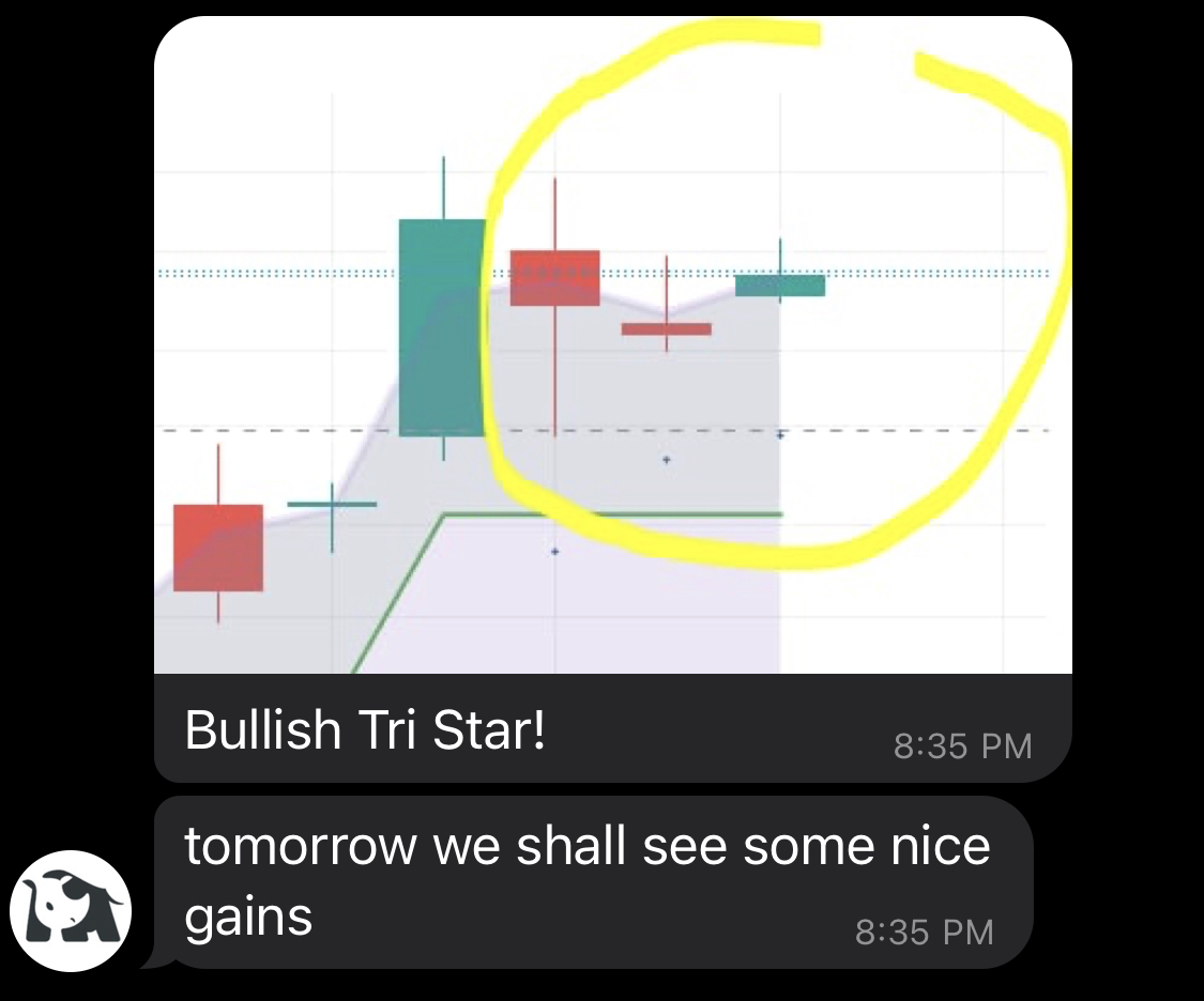 현재 극도의 흥분상태!!!! - 자유게시판 - 코인픽